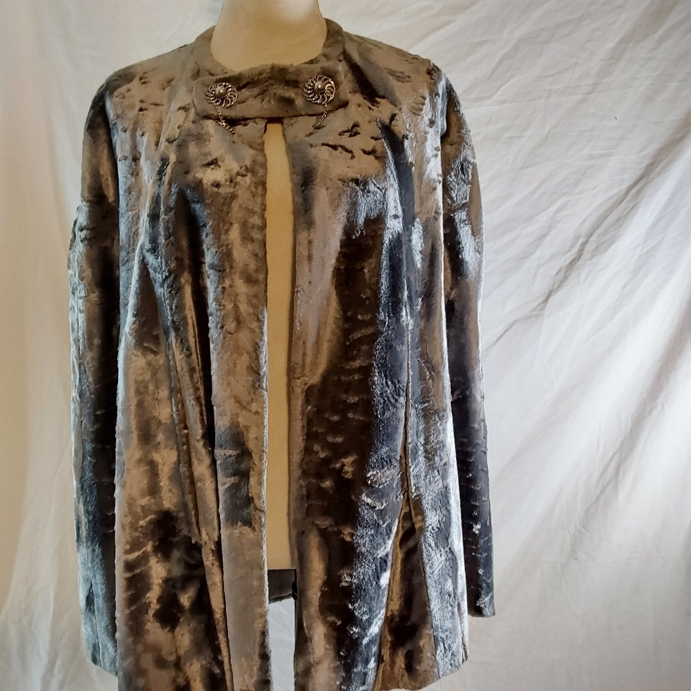 Vintage Silver Velvet Cape